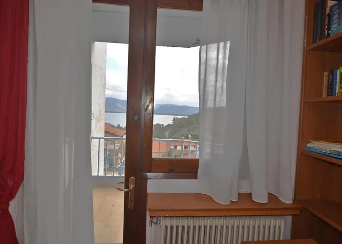 Tania's View